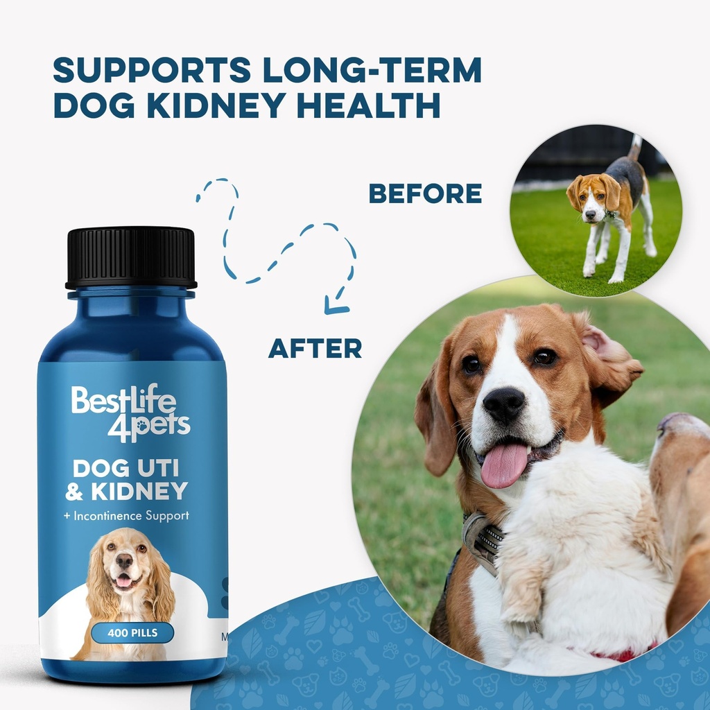 bestlife4pets-dog-uti-treatment-kidney-h-4.jpg