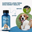 bestlife4pets-dog-uti-treatment-kidney-h-4.jpg