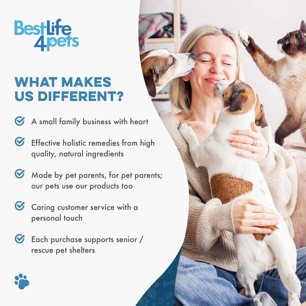 bestlife4pets-dog-uti-treatment-kidney-h-5.jpg