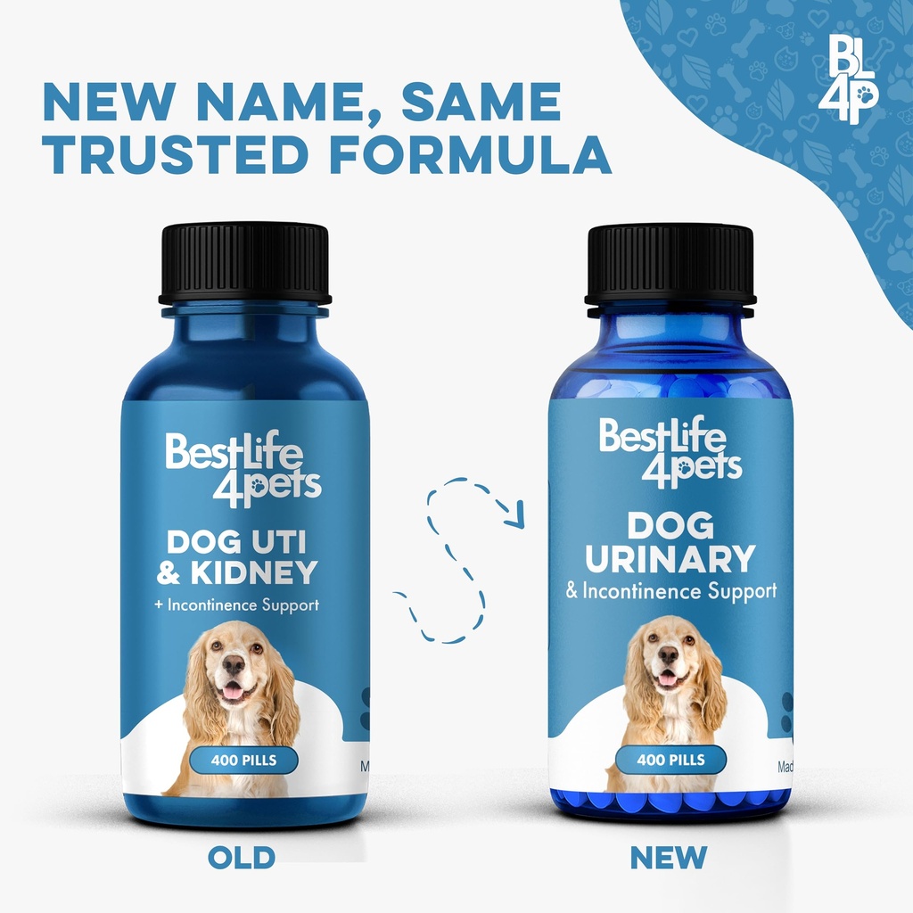 bestlife4pets-dog-uti-treatment-kidney-h-2.jpg