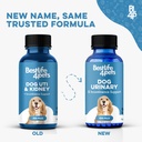 bestlife4pets-dog-uti-treatment-kidney-h-2.jpg