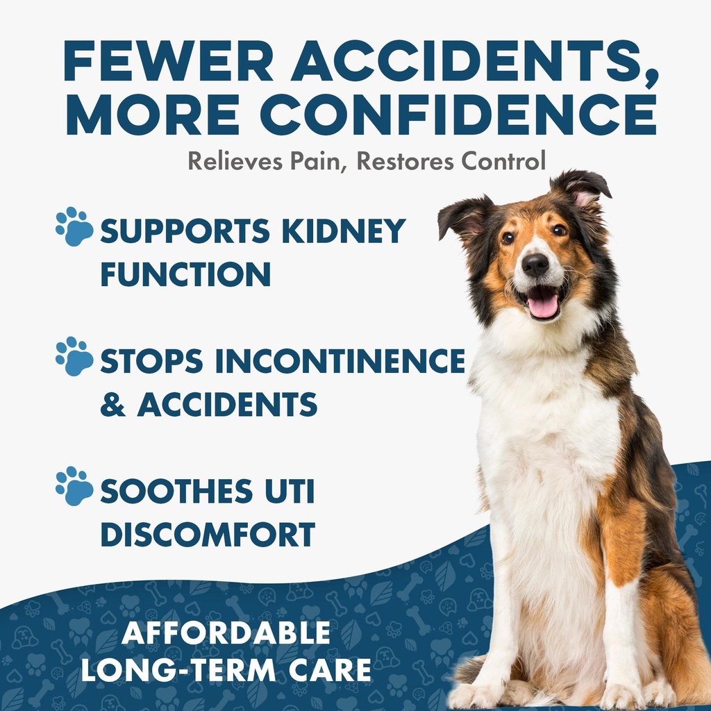 bestlife4pets-dog-uti-treatment-kidney-h-3.jpg