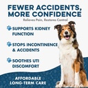 bestlife4pets-dog-uti-treatment-kidney-h-3.jpg