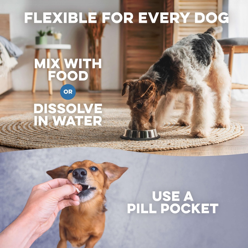 bestlife4pets-dog-uti-treatment-kidney-h-6.jpg