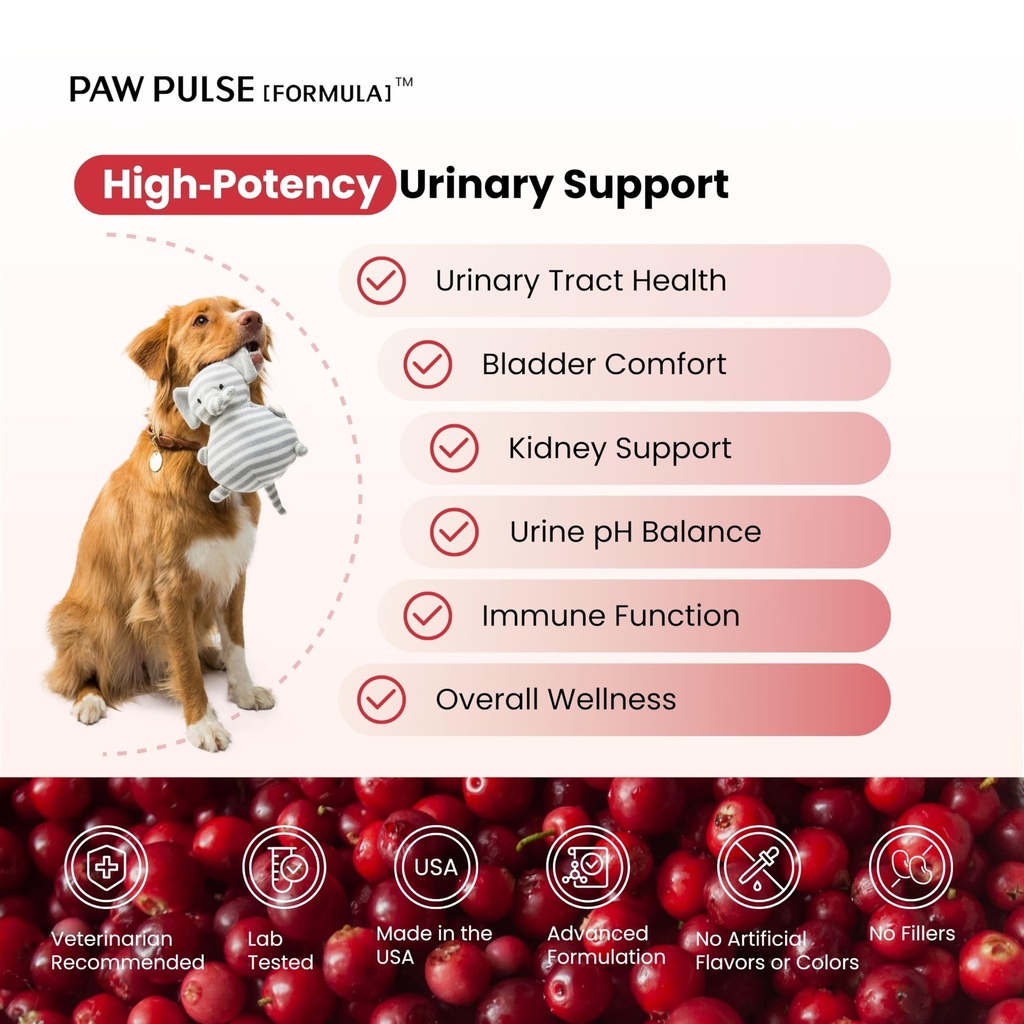 pawpulse-formula-dog-uti-treatment-cranb-2.jpg