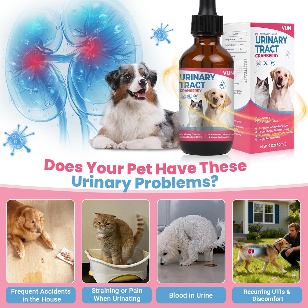 cat-uti-treatment-dog-urinary-tract-infe-2.jpg