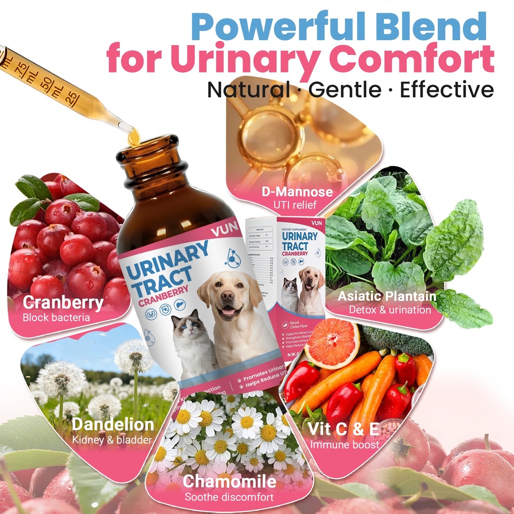 cat-uti-treatment-dog-urinary-tract-infe-3.jpg