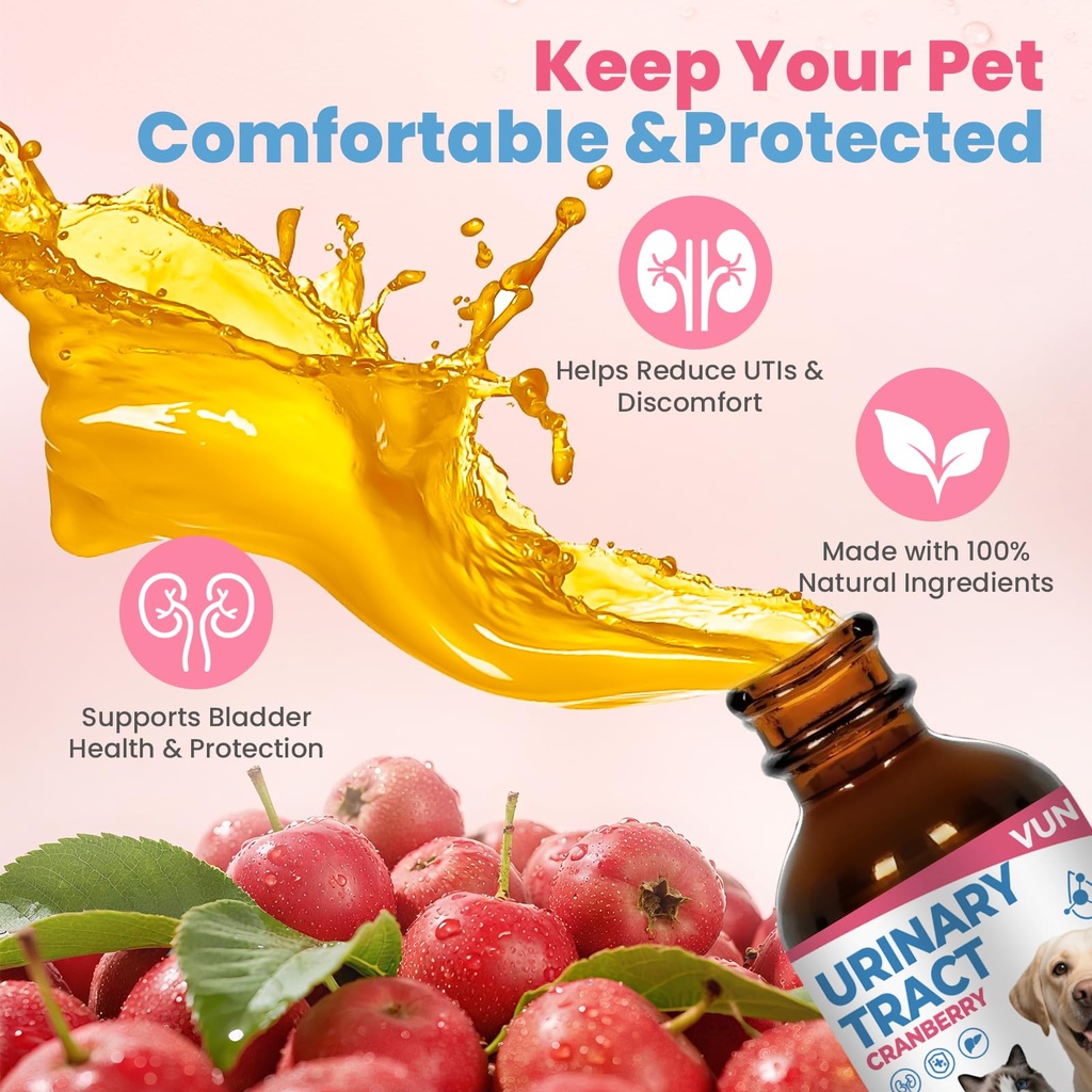 cat-uti-treatment-dog-urinary-tract-infe-5.jpg