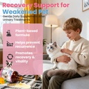 cat-uti-treatment-dog-urinary-tract-infe-6.jpg