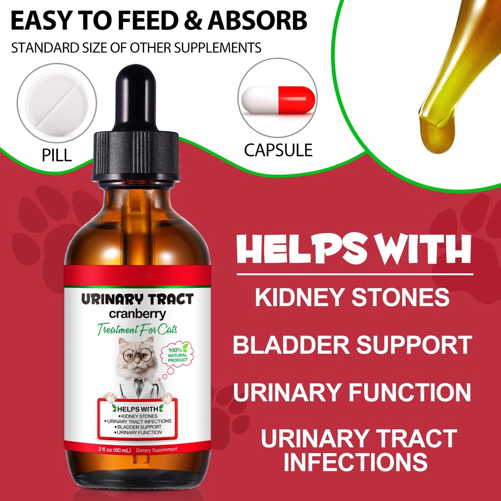 cat-urinary-tract-infection-treatment-ca-5.jpg