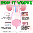 cat-urinary-tract-infection-treatment-ca-4.jpg