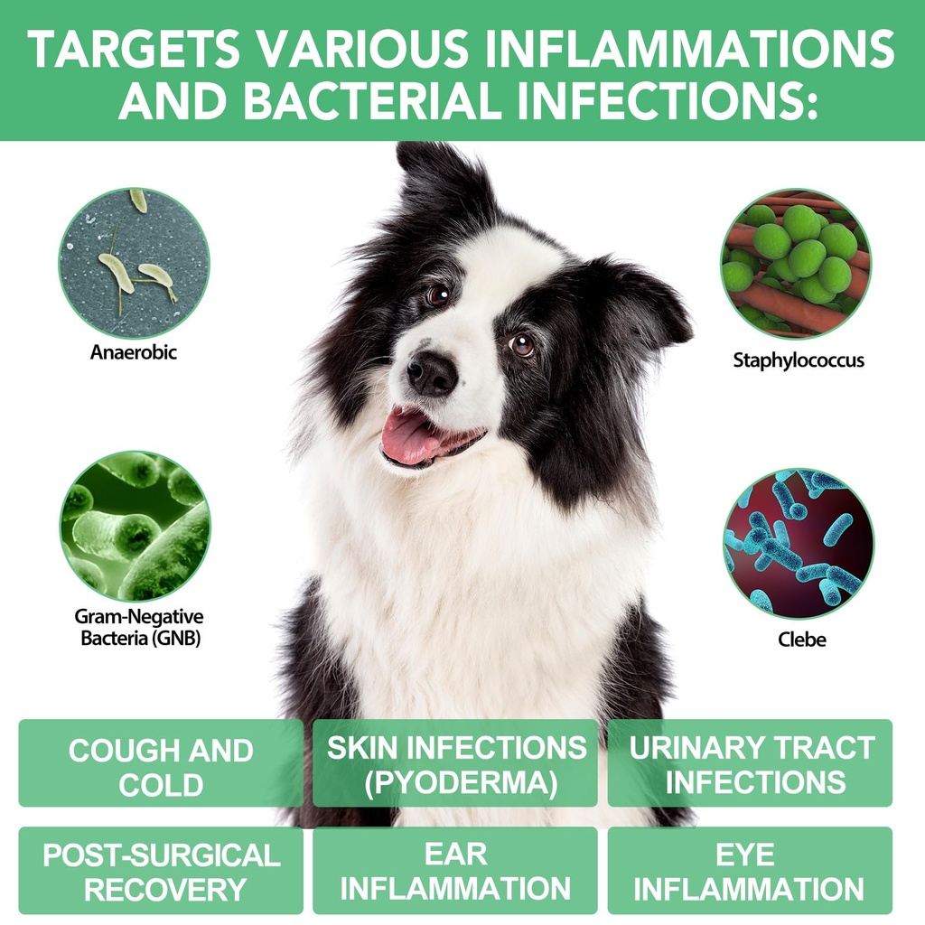 antibiotics-for-dogs-dogs-antibiotic-liq-3.jpg