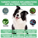 antibiotics-for-dogs-dogs-antibiotic-liq-3.jpg