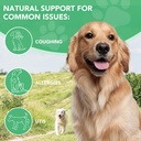 antibiotics-for-dogs-dogs-antibiotic-liq-6.jpg