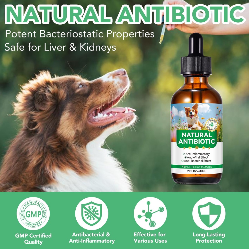 antibiotics-for-dogs-dogs-antibiotic-liq-2.jpg