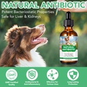 antibiotics-for-dogs-dogs-antibiotic-liq-2.jpg