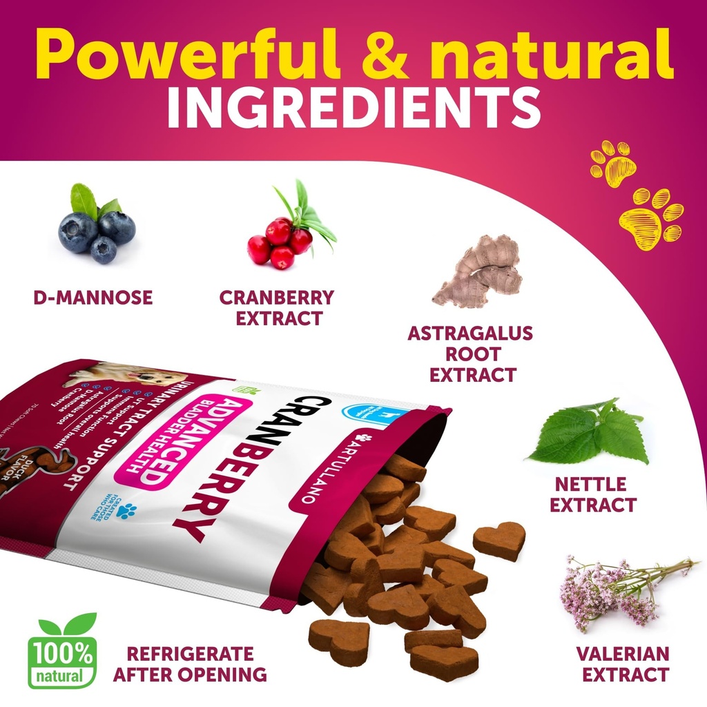 cranberry-chews-for-dogs-dog-cranberry-s-3.jpg