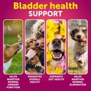 cranberry-chews-for-dogs-dog-cranberry-s-2.jpg