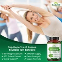 zazzee-extra-strength-mullein-leaf-10-1--3.jpg