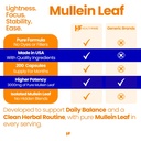 mullein-leaf-extract-3000mg-200-vegan-ca-4.jpg