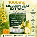 vitanics-mullein-gummies-mullein-leaf-ex-5.jpg