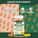1-pack-organic-mullein-gummies-for-lungs-5.jpg