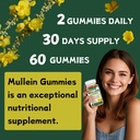 1-pack-organic-mullein-gummies-for-lungs-4.jpg