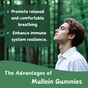 1-pack-organic-mullein-gummies-for-lungs-3.jpg