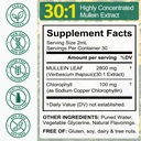 mullein-leaf-extract-for-lungs-better-lu-5.jpg