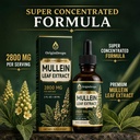 origin-drops-mullein-drops-for-lungs-sup-2.jpg