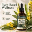 origin-drops-mullein-drops-for-lungs-sup-3.jpg