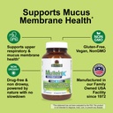 nature-s-answer-mulleinx-respiratory-nac-4.jpg