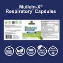 nature-s-answer-mulleinx-respiratory-nac-2.jpg