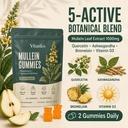 vitanics-mullein-gummies-with-quercetin--2.jpg