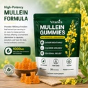 vitanics-mullein-gummies-mullein-leaf-ex-2.jpg