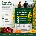 vitanics-mullein-gummies-mullein-leaf-ex-3.jpg
