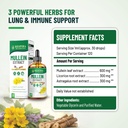 mullein-drops-for-lungs-cleanse-and-deto-6.jpg