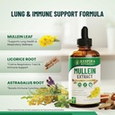 mullein-drops-for-lungs-cleanse-and-deto-2.jpg