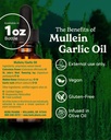 herb-pharm-mullein-garlic-oil-infused-oi-2.jpg