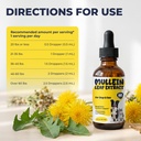 mullein-drops-for-dogs-cats-with-chlorop-4.jpg