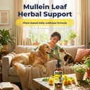 mullein-drops-for-dogs-cats-with-chlorop-3.jpg