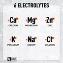 zeal-naturals-electrolyte-powder-recover-4.jpg