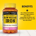 mason-natural-slow-release-iron-ferrous--2.jpg