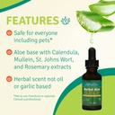 aloe-life-terry-s-herbal-ear-drops-1-fz-5.jpg