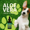 aloe-life-terry-s-herbal-ear-drops-1-fz-6.jpg