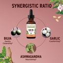 banyan-botanicals-ear-oil-organic-herbal-2.jpg