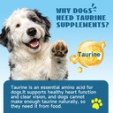 taurine-for-dogs-drops-supports-heart-vi-4.jpg