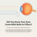 snap-supplements-eye-health-lutein-zeaxa-6.jpg
