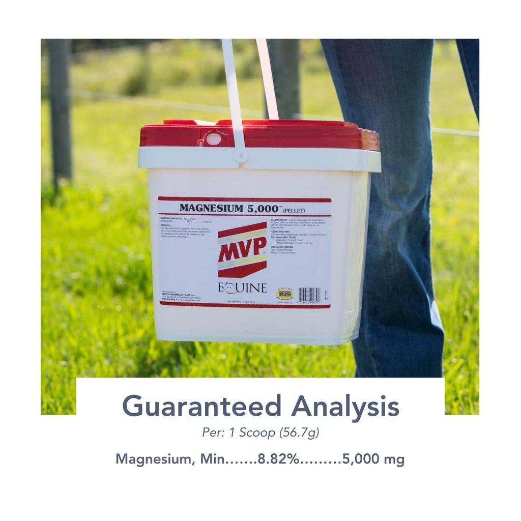 magnesium-5000-10lb-for-horses-calming-s-5.jpg
