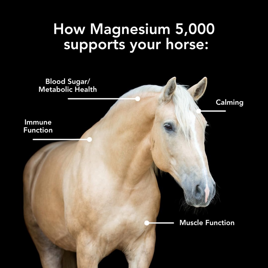magnesium-5000-10lb-for-horses-calming-s-2.jpg